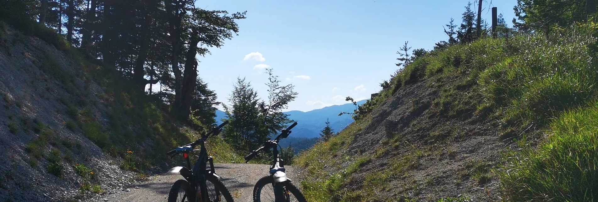 Bike Riding With the E Bike the Hubertussee round - Touren-Impression #1 | © TV Hochsteiermark