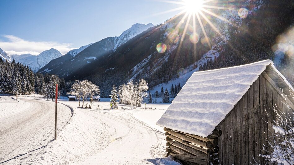 Hiking Route Winter Walking in Untertal - Touren-Impression #2.7 | © Erlebnisregion Schladming-Dachstein