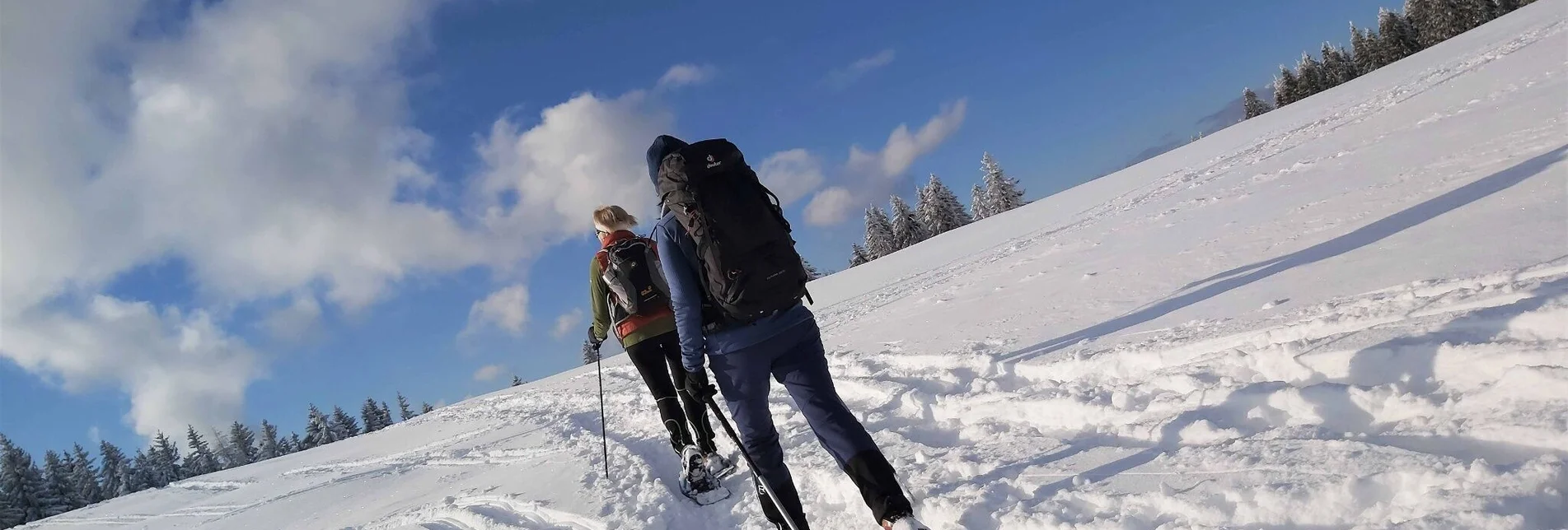 Schneeschuh Schneeschuhwanderung am Plankogel, Sommeralm - Touren-Impression #1 | © Oststeiermark Tourismus