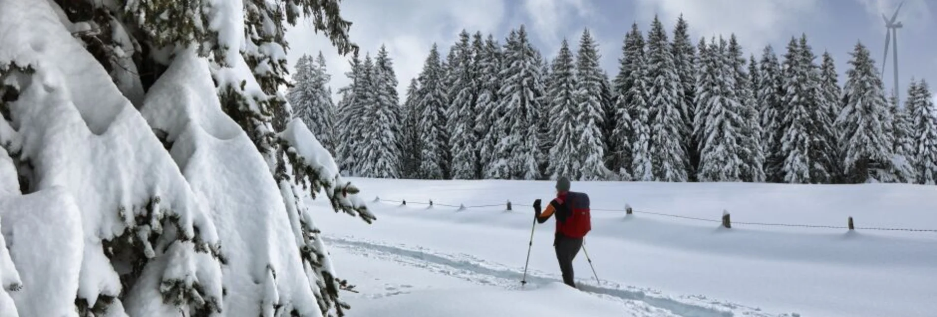 Snowshoe walking Freiländeralm - Touren-Impression #1 | © Weges OG