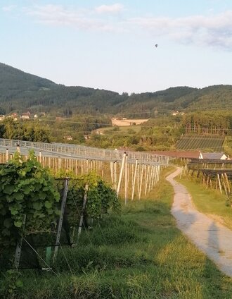 Mitten durch die Obstgärten, Eiteljörg Runde, Puch bei Weiz, Oststeiermark | Eiteljörg | © Oststeiermark Tourismus
