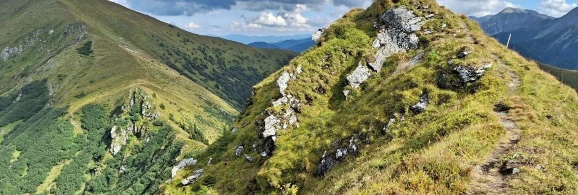 Hiking route Griesmoarkogel - Himmeleck - Himmelkogel - Touren-Impression #1 | © Weges OG