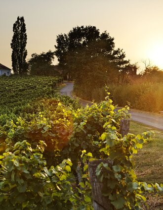 Magnificent views from Seindl | Bernhard Bergmann | © Erlebnisregion Thermen- & Vulkanland