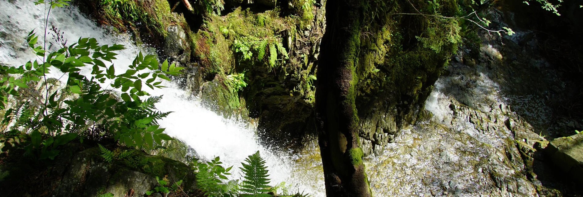 Hiking route Romai waterfall round, St. Jakob im Walde - Touren-Impression #1