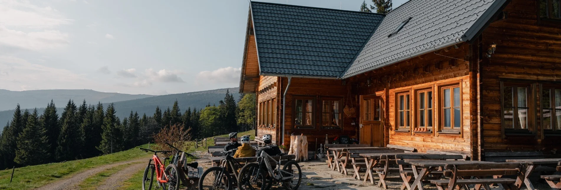 Mountainbike Steirische Wexl Trails - Windhang Route - Touren-Impression #1 | © Verein Tourismusentwicklung Steirischer Wechsel