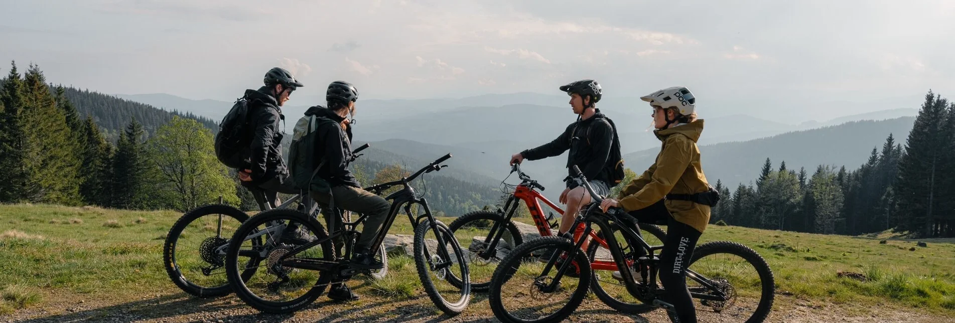 Mountain Biking Styrian Wexl Trails - Studentenkreuz Route - Touren-Impression #1 | © Verein Tourismusentwicklung Steirischer Wechsel