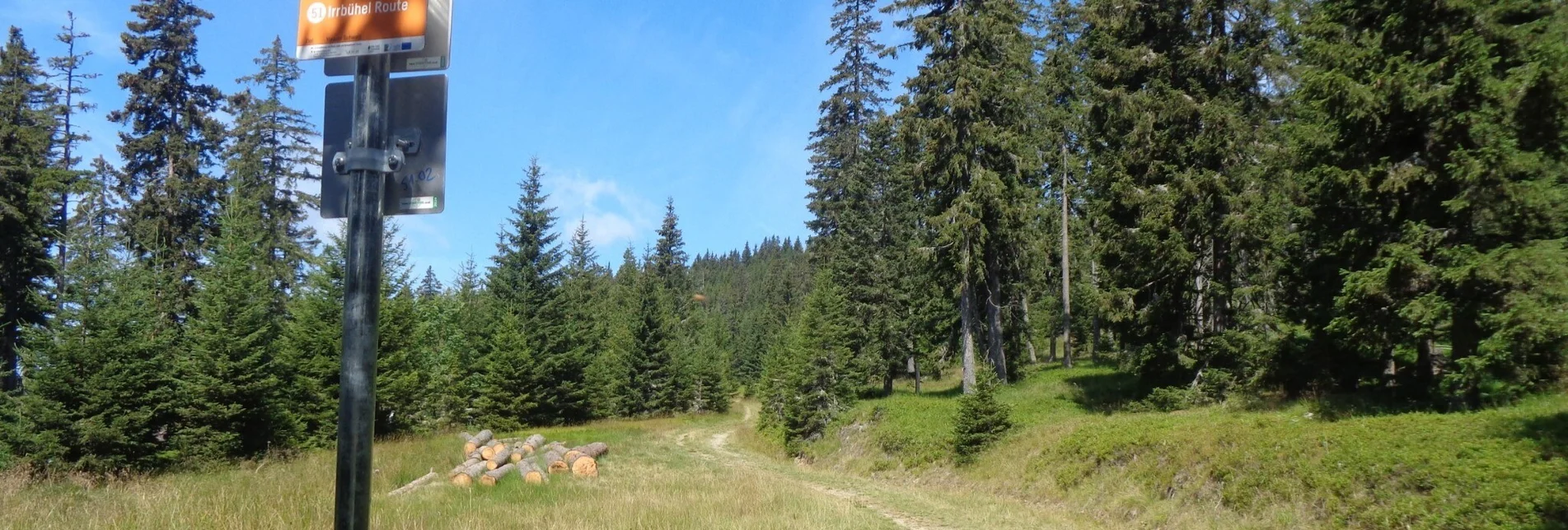 Mountain Biking Styrian Wexl Trails - Irrbühel Route - Touren-Impression #1