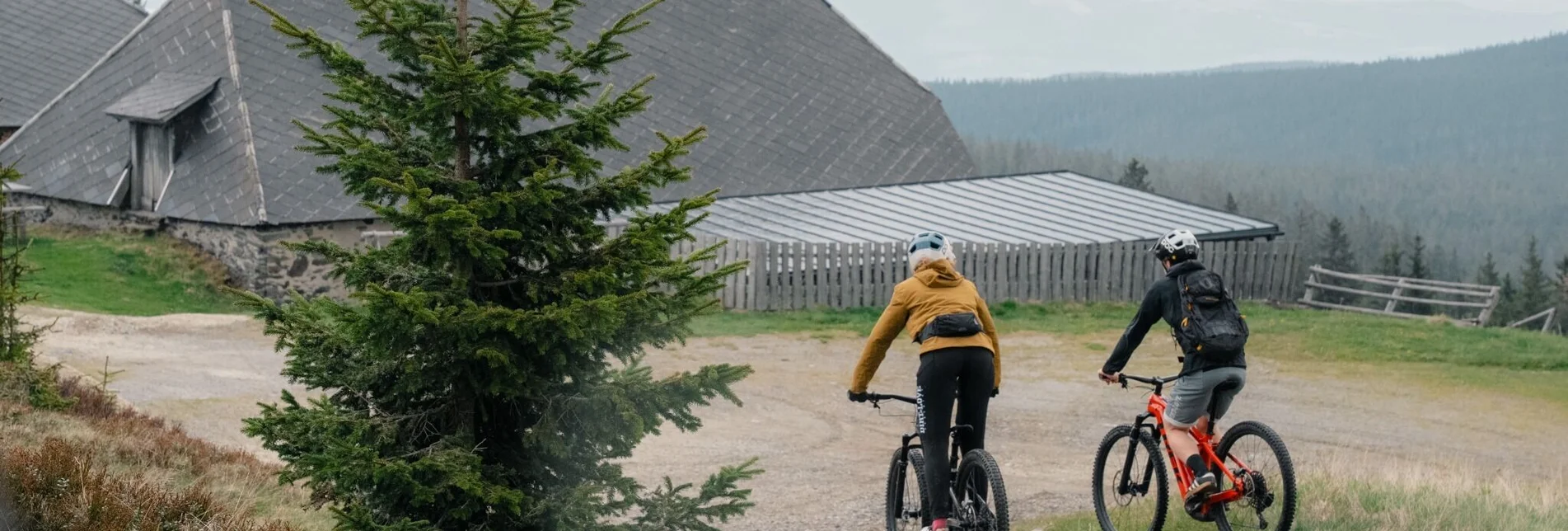 Mountainbike Steirische Wexl Trails - Vorauer Schwaig Trail - Touren-Impression #1 | © Verein Tourismusentwicklung Steirischer Wechsel