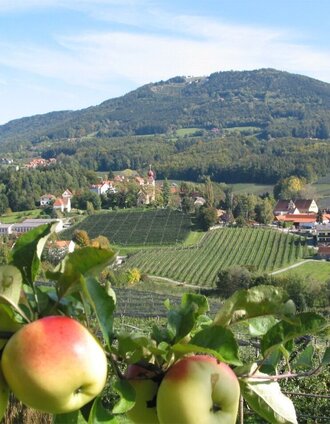 Apple village Puch near Weiz, ApfelLand-Stubenbergsee in Eastern Styria | Walter Schneider | © Oststeiermark Tourismus
