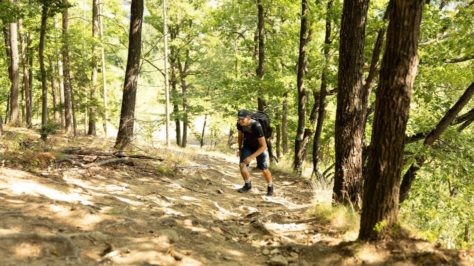 Hiking Route Vulture Wall Trail - Touren-Impression #2.3 | © Oststeiermark Tourismus