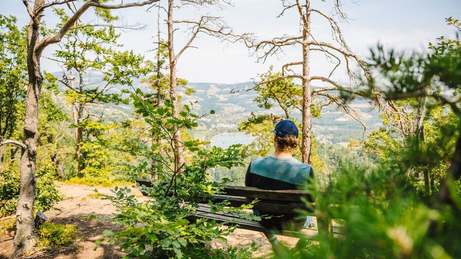 Hiking Route Vulture Wall Trail - Touren-Impression #2.8 | © Oststeiermark Tourismus