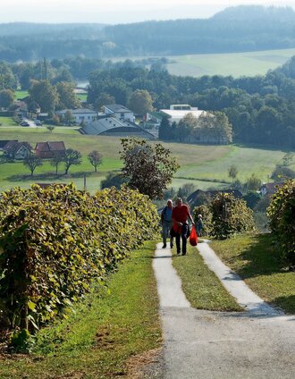 Blick zum Schloss Schielleiten, Stubenberg am See in der Oststeiermark | Christian Strassegger | © Oststeiermark Tourismus
