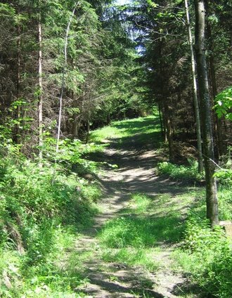 Teil des Mariazellerweges, Oststeiermark | © Oststeiermark Tourismus