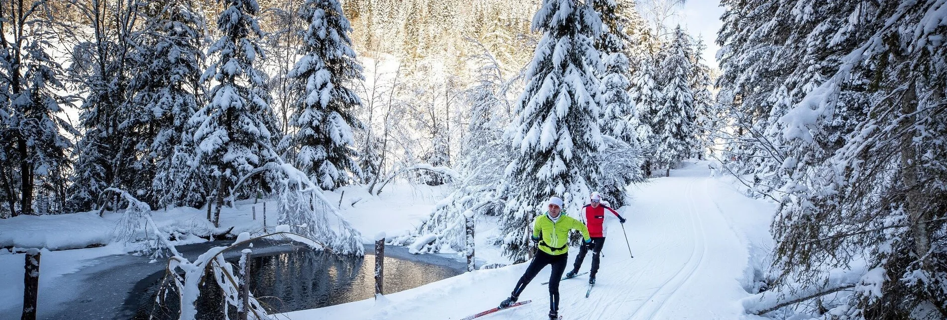 Langlauf Skating Talloipe Laßnitz - Touren-Impression #1 | © Tourismusverband Murau