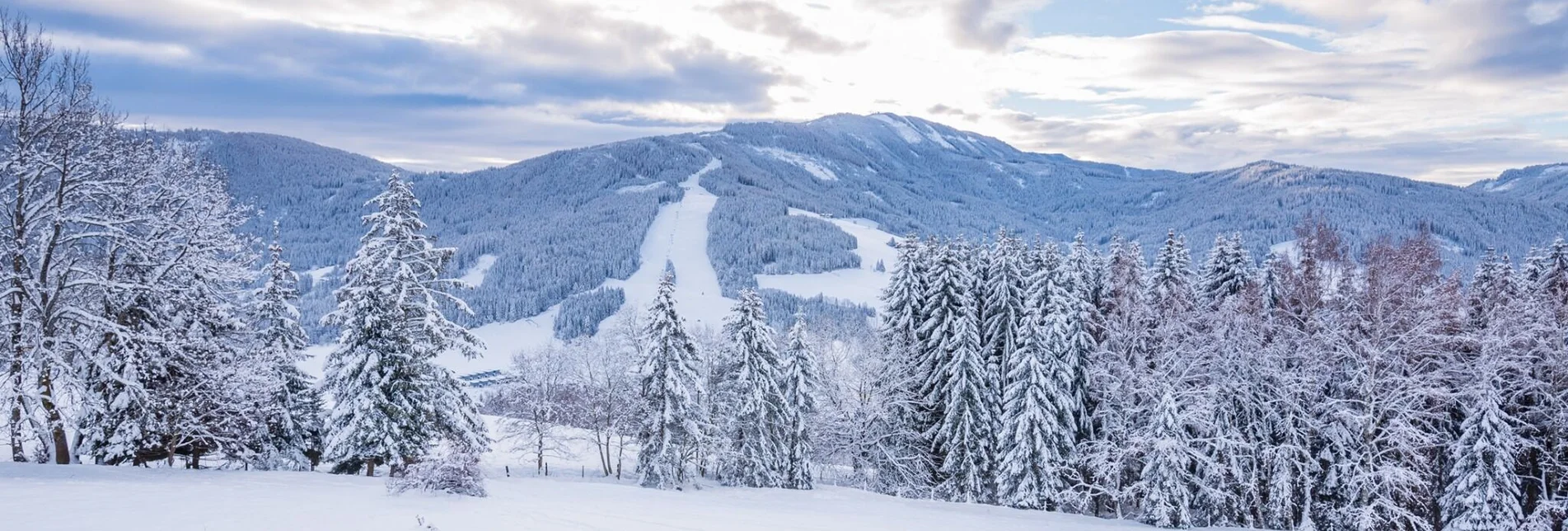 Snowshoe walking Area shelter - Touren-Impression #1 | © Tourismusverband Murau