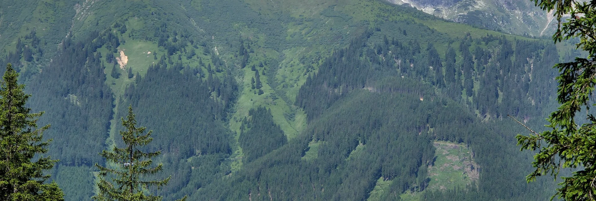 Wanderung Hasensattel - Himmlisches Platzerl 5 - Touren-Impression #1 | © Marlene Zandl