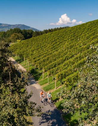 Radfahren entlang der Weingärten | Bernhard Bergmann | © Oststeiermark Tourismus