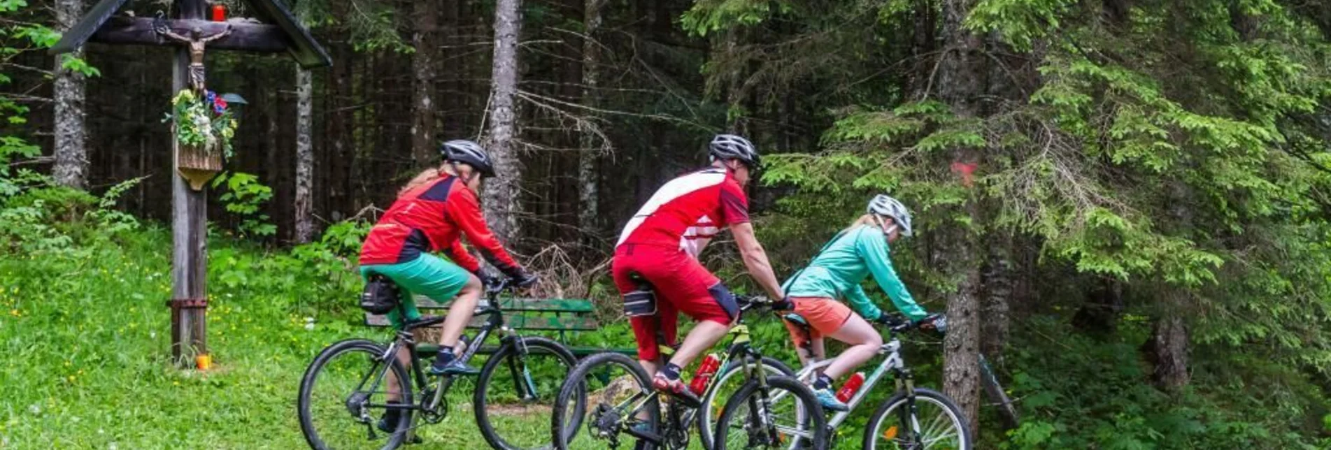 Mountain Biking Eibenberg Tour - Touren-Impression #1 | © SSW/Coen Weesjes