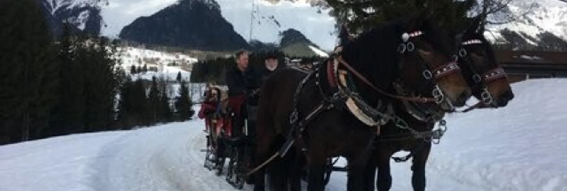 Horse Carriage Ride Horse Drawn Sleigh Rides Vorberghof - Touren-Impression #1