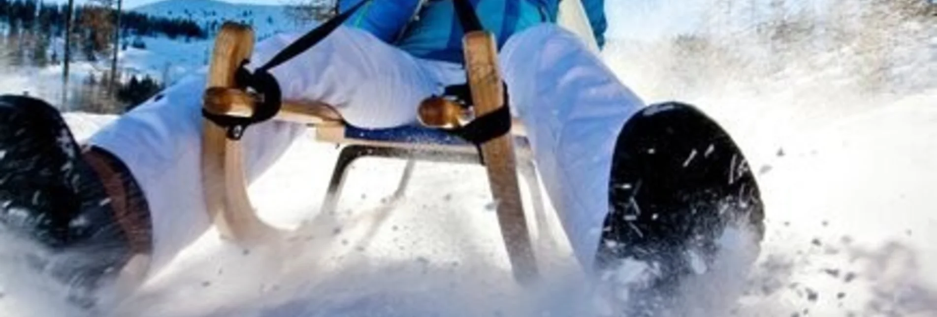 Sledding Toboggan rental Seebacher - Touren-Impression #1