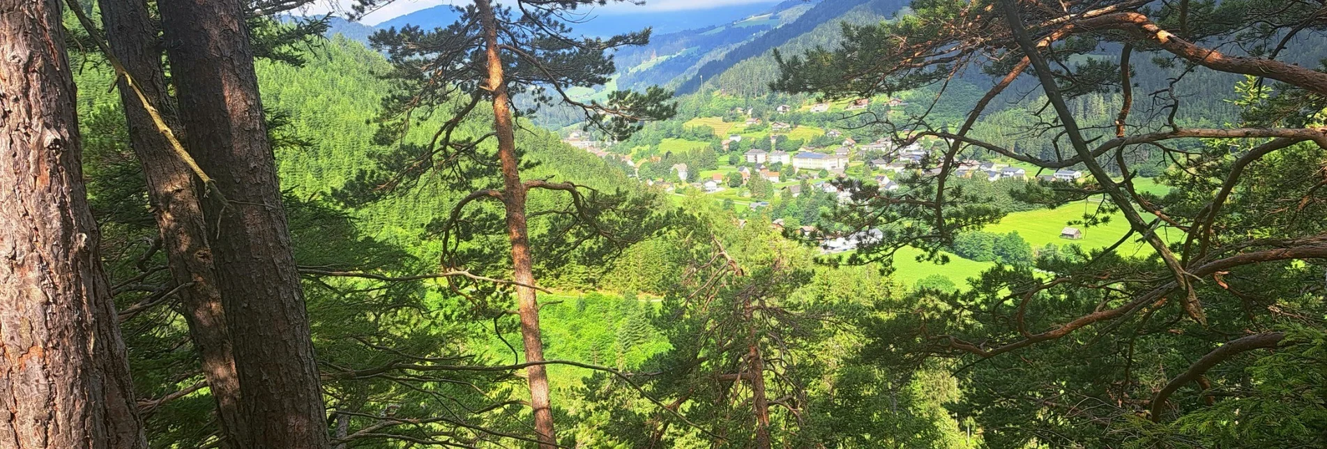 Wanderung Weg Nr. 1 Franz-Josef-Höhe - Touren-Impression #1