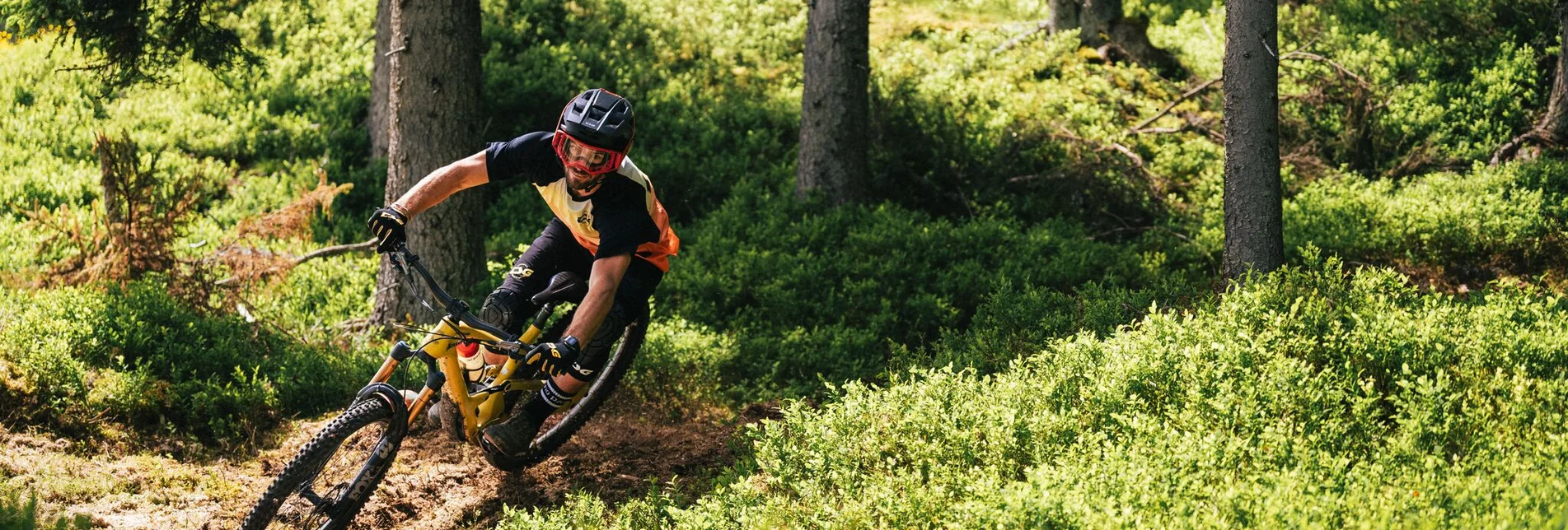 Singletrail Hochalm Enduro Trail | 109 - Touren-Impression #1