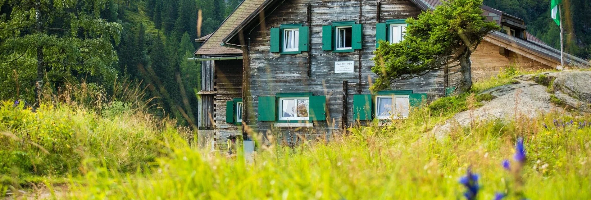 Regional hiking trail Hauser Kaibling - Moaralmsee - Hans Wödl Hütte - Steirischer Bodensee - Touren-Impression #1 | © TVB Haus-Aich-Gössenberg