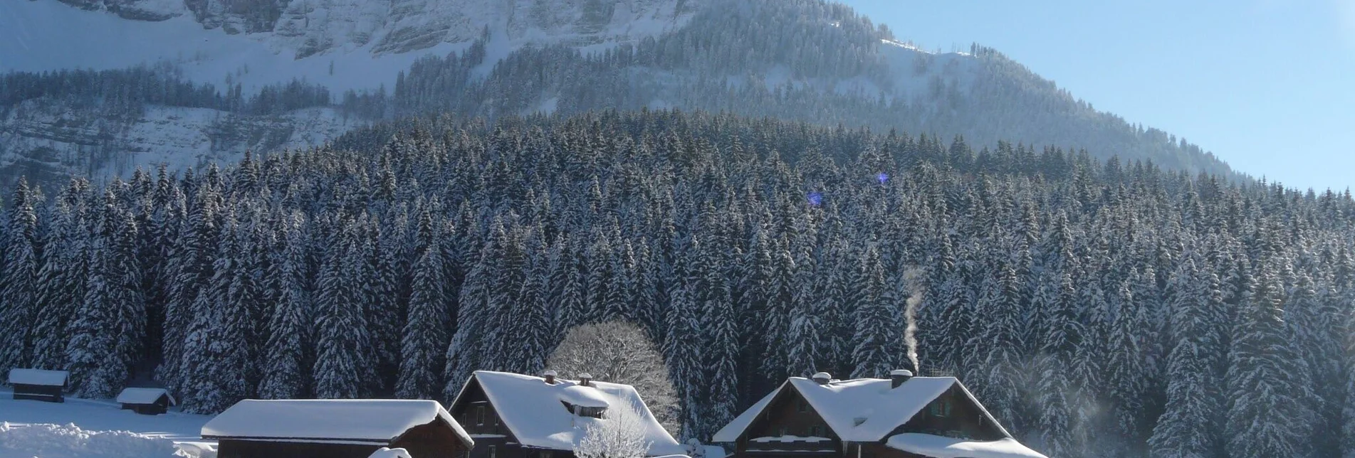 Langlauf Skating Blaa Alm Runde - Touren-Impression #1 | © Ausseerland