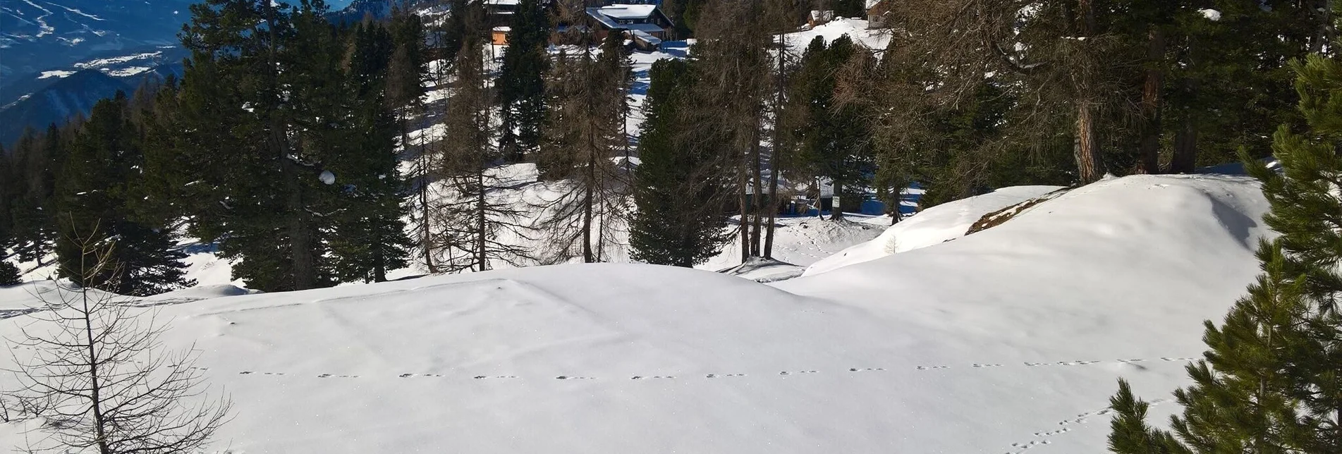 Schneeschuh Schneeschuhwanderung Rossfeld Stoderzinken - Touren-Impression #1 | © Erlebnisregion Schladming-Dachstein