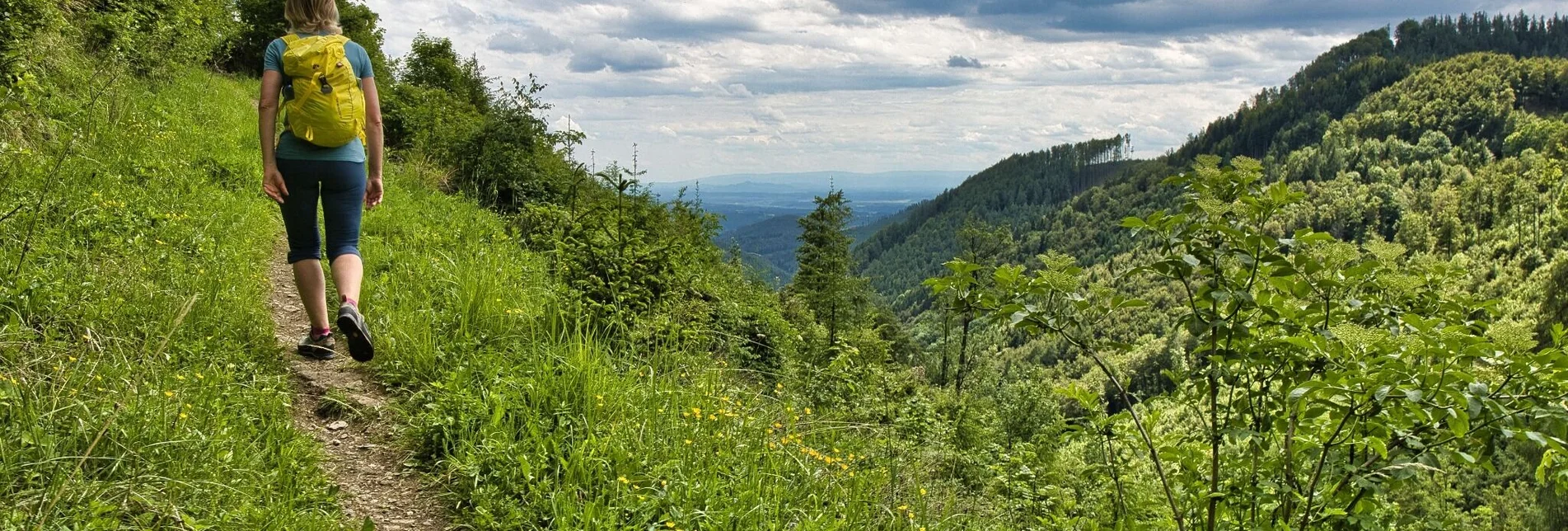 Wanderung Mühlbacherhütte - Kaschlsteig - Touren-Impression #1 | © Weges OG