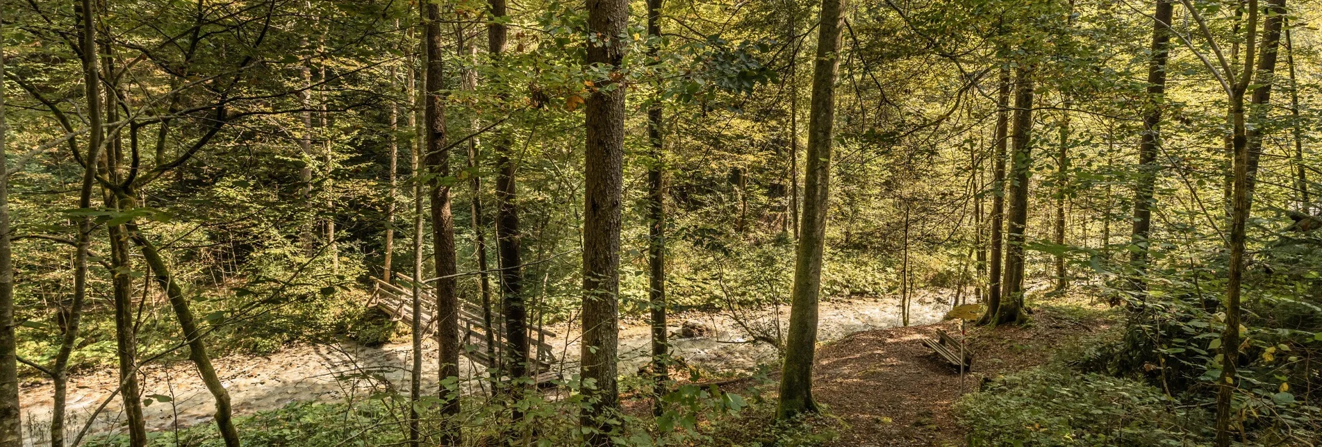 Nordic Walking Zinkgraben running curcuit - Touren-Impression #1