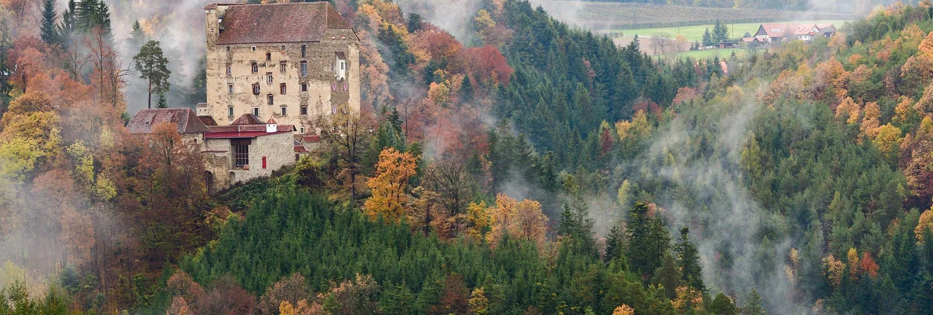 Road Cycling Castles and palaces round - Touren-Impression #1