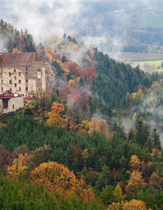 Burg Neuhaus © TVB ApfelLand Stubenbergsee