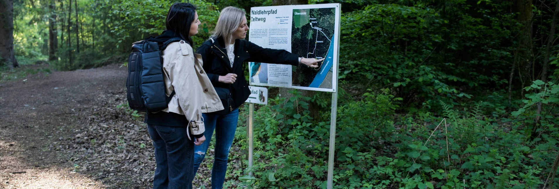 Wanderung Waldlehrpfad Zeltweg - Touren-Impression #1