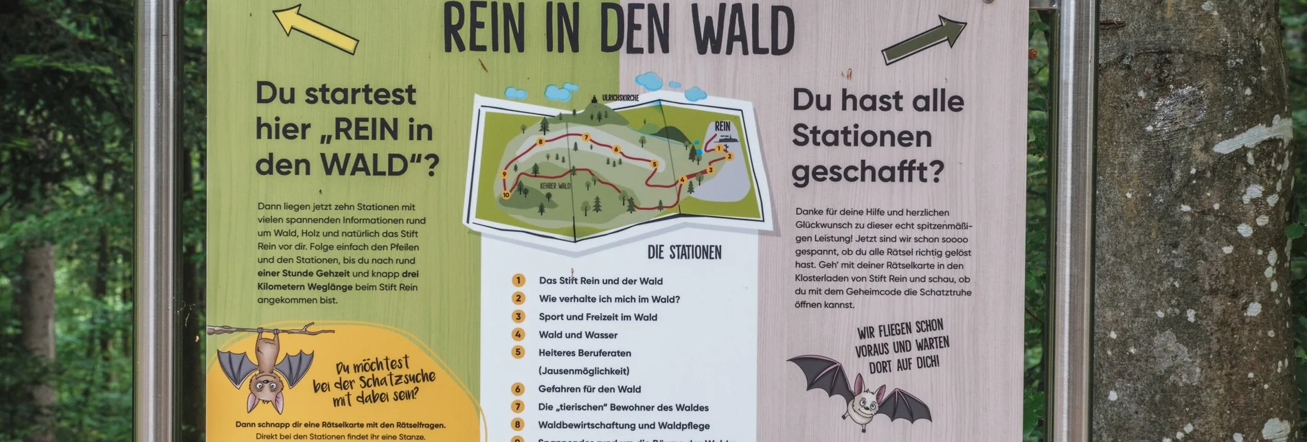 Hiking route Rein in den Wald - ein Erlebnispfad - Touren-Impression #1