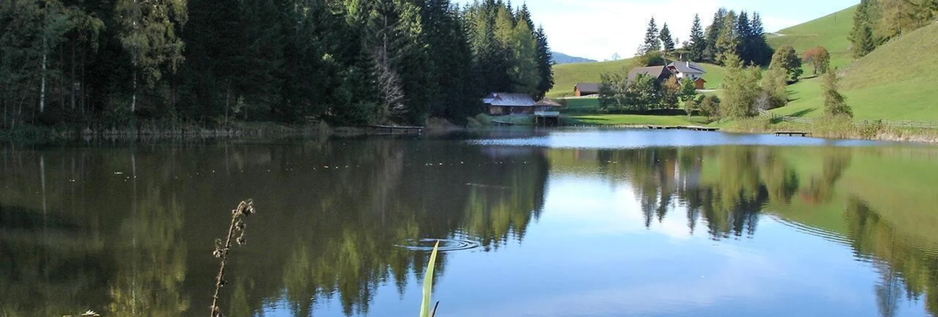 Hiking route Krakauer circular route trilogy part 3: Walk around the idyllic bathing lake - Touren-Impression #1 | © Julia Puganigg