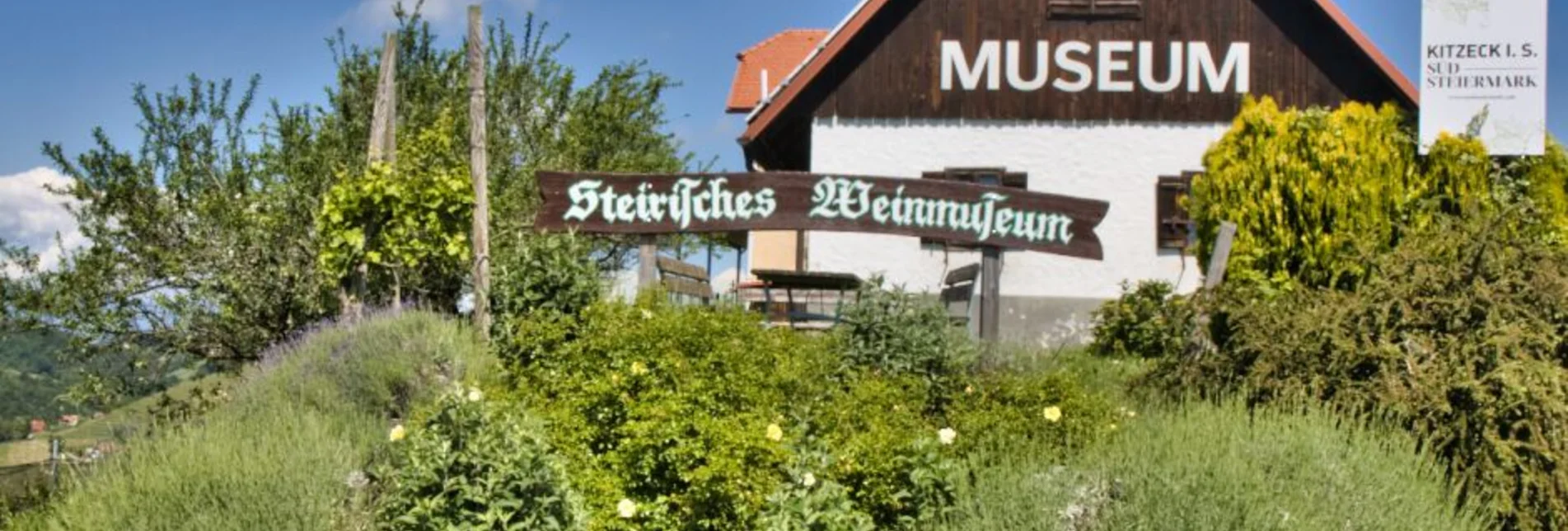 Mountain Biking Panorama Tour (Wies) - a perfect triad - Touren-Impression #1 | © TV Südsteiermark - WEGES