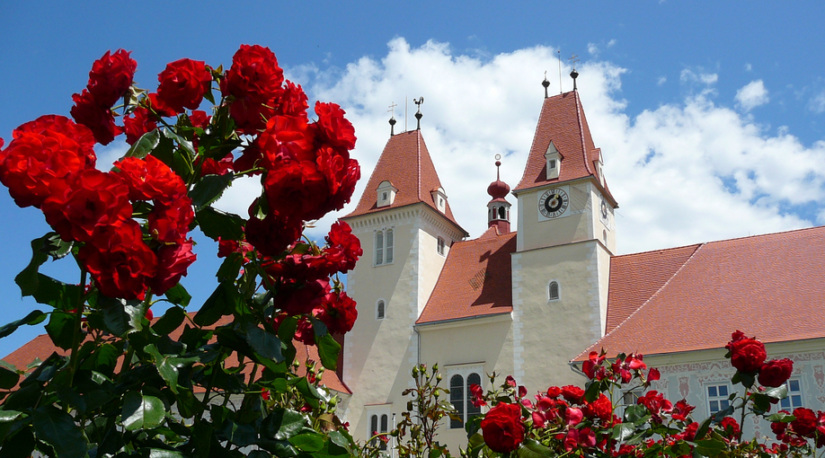 Rosen vor Stift Vorau | © Stift Vorau