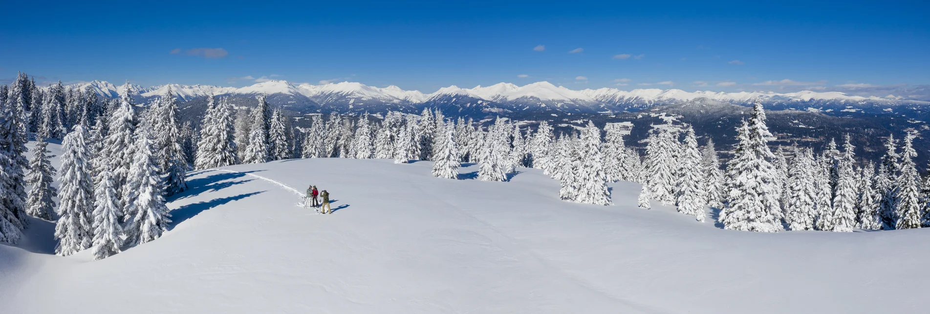 Schneeschuhwandern auf der Frauenalpe  | © STG | Tom Lamm