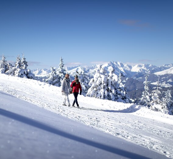 Spazieren gehen auf der Frauenalpe | © STG | Tom Lamm