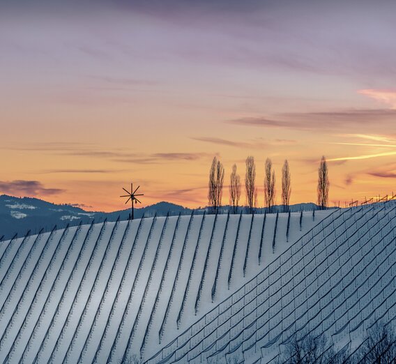 Winter in the wine country/Southern Styria | © Steiermark Tourismus | Wolfgang Jauk