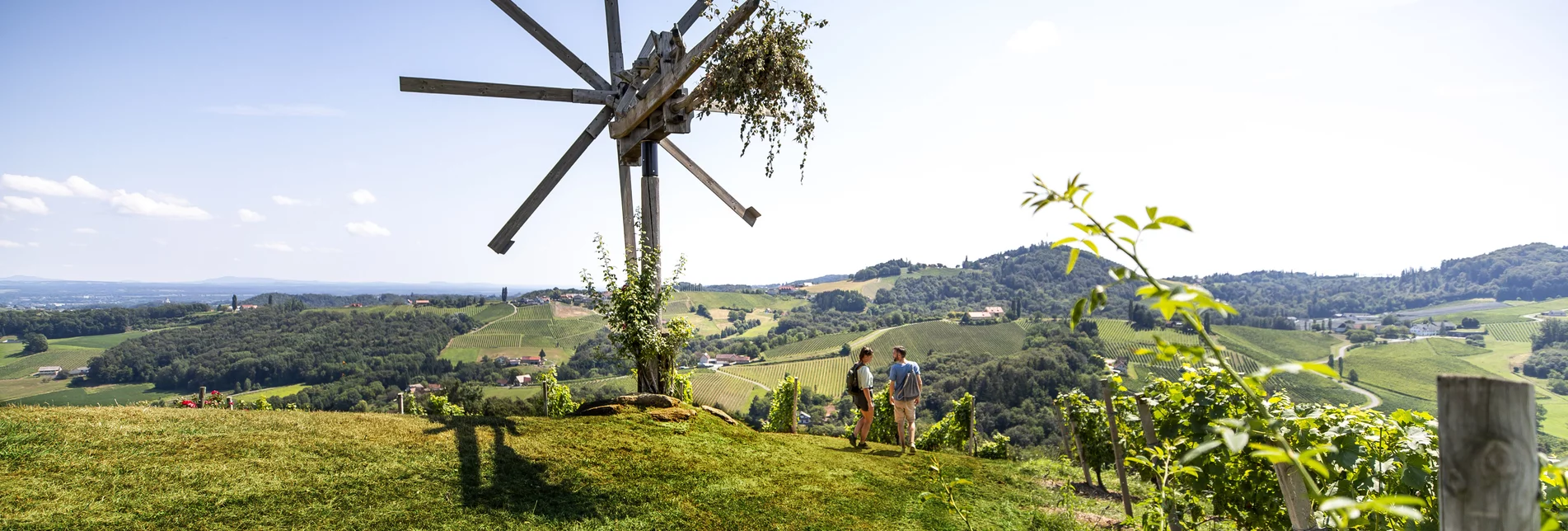 Wine Hiking in Southern Styria | © Steiermark Tourismus | Tom Lamm