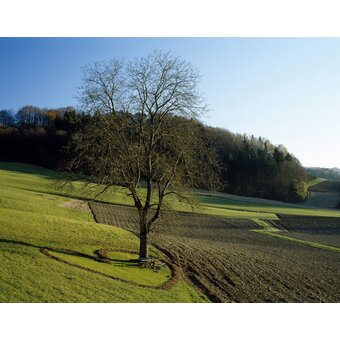 Herz inmitten den Natur | © STG | Atelier Jungwirth, Christian Jungwirth