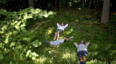 Forest bathing in the Green Heart of Austria | © Steiermark Tourismus | Tom Lamm