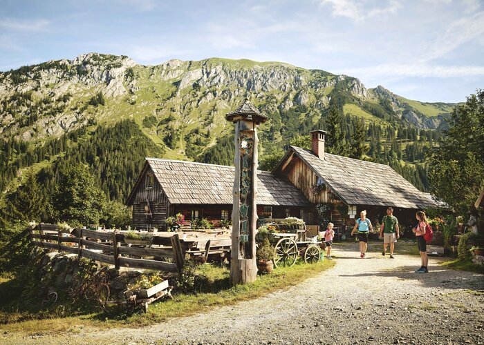 Stop off at the Ebneralm in the Gesäuse | © TV Gesäuse | Michael Königshofer