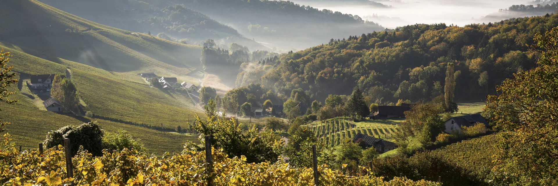 Südsteiermark | © STG | photo-austria.at Südsteiermark | © STG | photo-austria.at