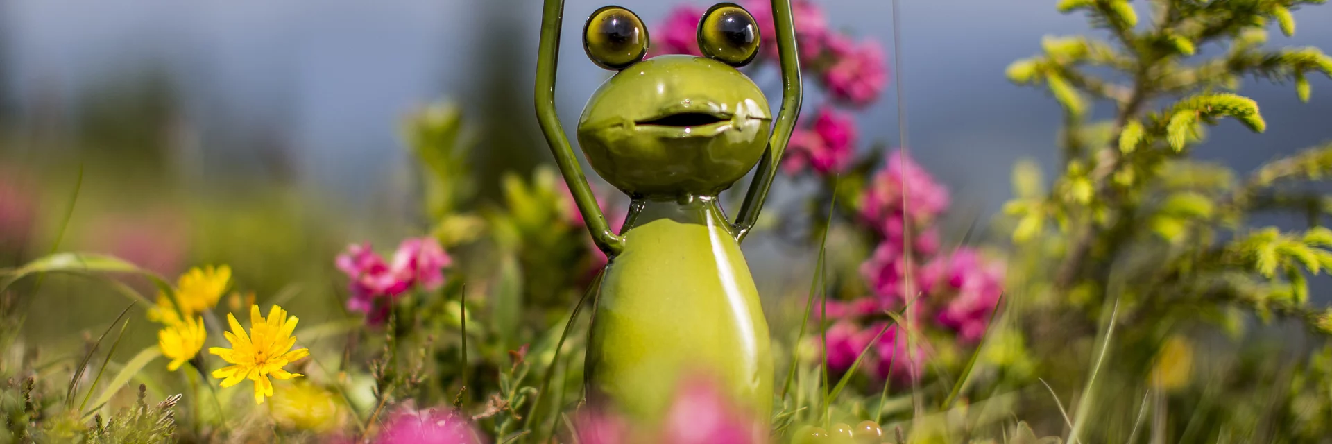 Steiermark-Wetterfrosch zur Almrauschblüte | © STG | Tom Lamm Steiermark-Wetterfrosch zur Almrauschblüte | © STG | Tom Lamm