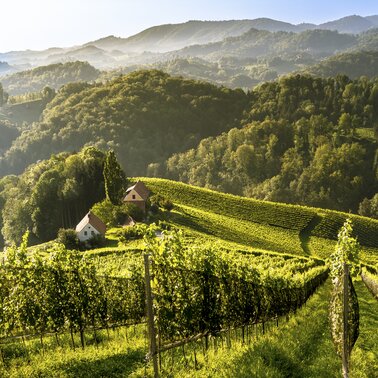 Südsteiermark
