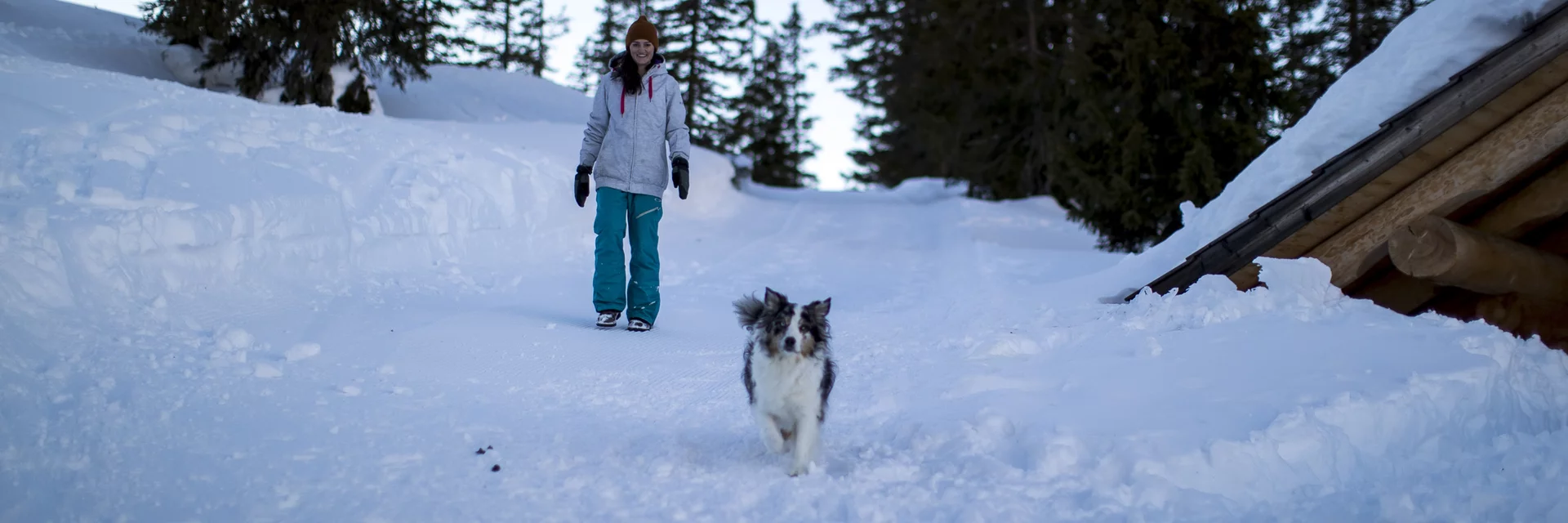 Urlaub mit Hund auf der Planneralm | © STG | Tom Lamm