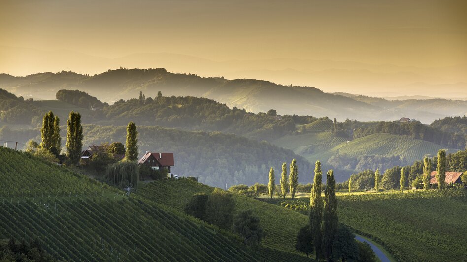 St. Veit in der Südsteiermark - Impression #2.1